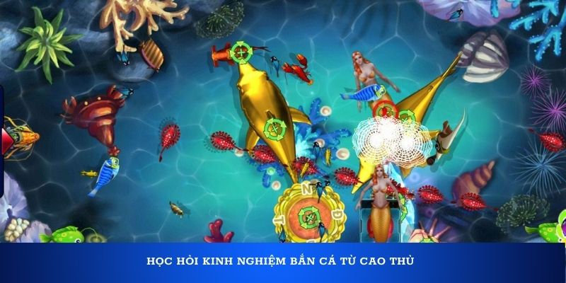 Học hỏi kinh nghiệm bắn cá từ cao thủ