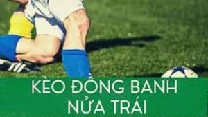 kèo đồng banh nửa trái