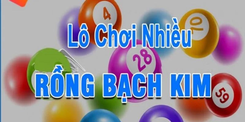 Khái niệm về kiểu chơi cược rồng bạch kim 